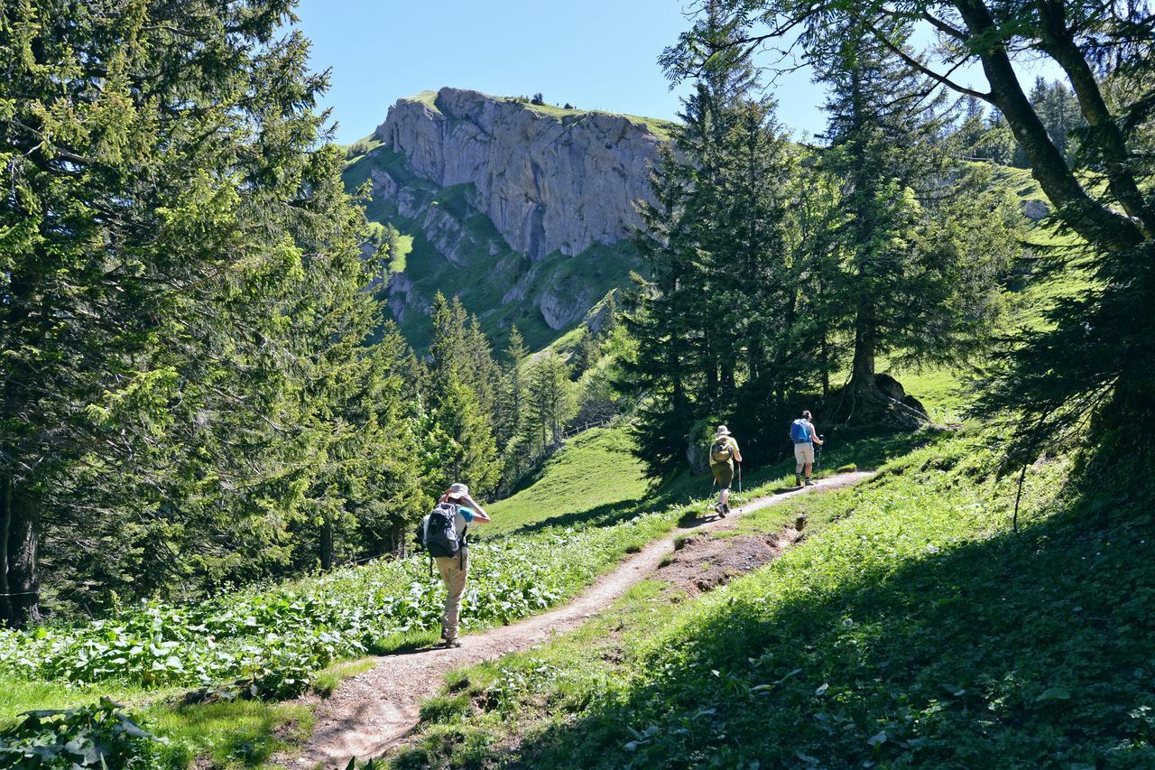 Berghues Schratt - Einfach Anders - Ihr Vegetarisches Und Veganes Biohotel Oberstaufen Eksteriør bilde