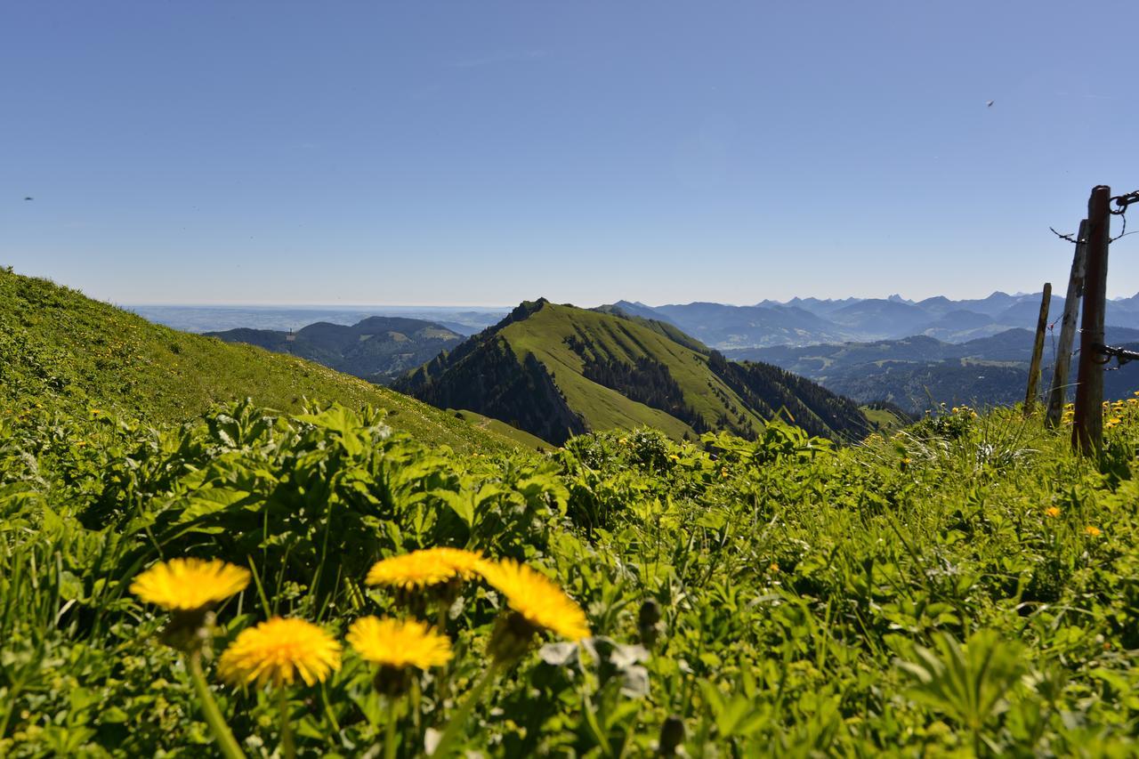 Berghues Schratt - Einfach Anders - Ihr Vegetarisches Und Veganes Biohotel Oberstaufen Eksteriør bilde