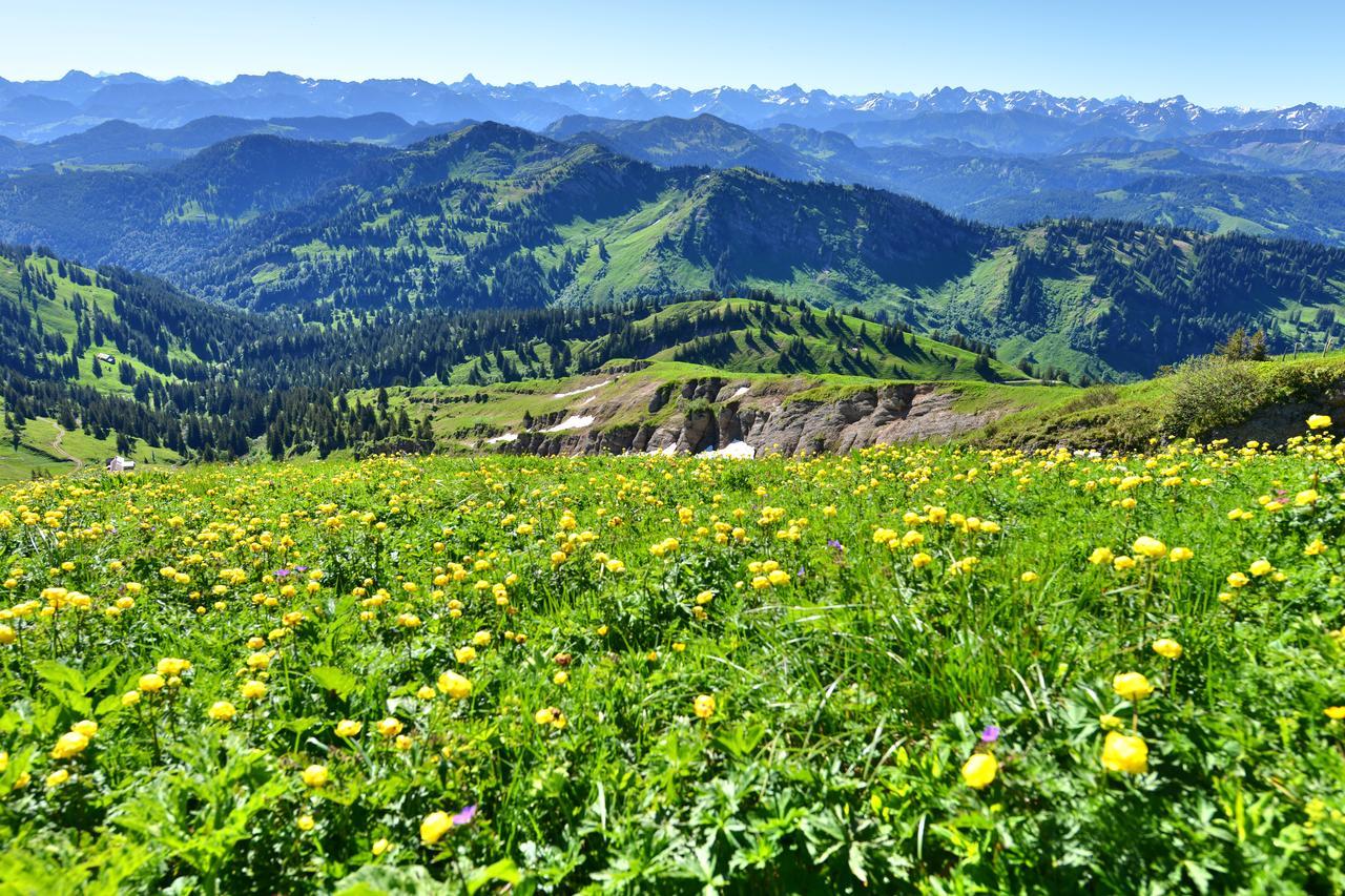Berghues Schratt - Einfach Anders - Ihr Vegetarisches Und Veganes Biohotel Oberstaufen Eksteriør bilde